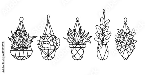 succulent, ficus hanging plants, potted boho houseplants isolated clipart bundle, black and white floral decorative elements, outline home plants botanical items, cute flower in pot - vector