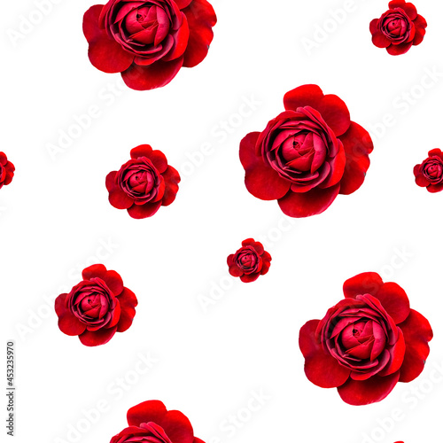 Red bright roses buds flowers different sizes seamless pattern