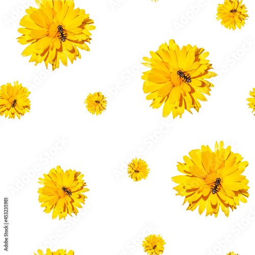 Yellow chrysanthemum bright flowers with cute bee on it seamless pattern