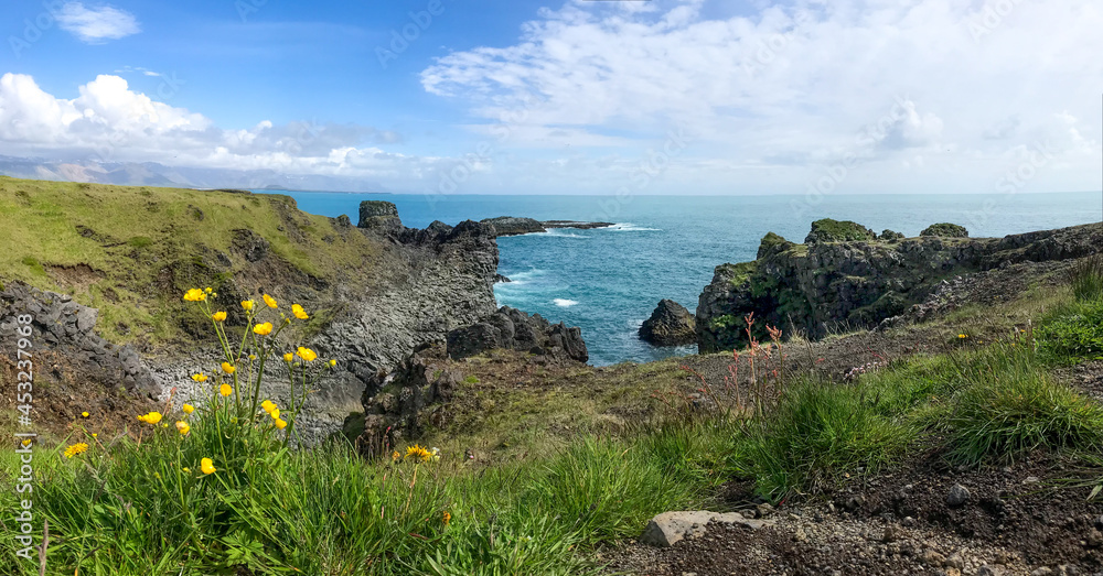 Flowers at Iceland panorama of the green rock coastline above turquoise ocean