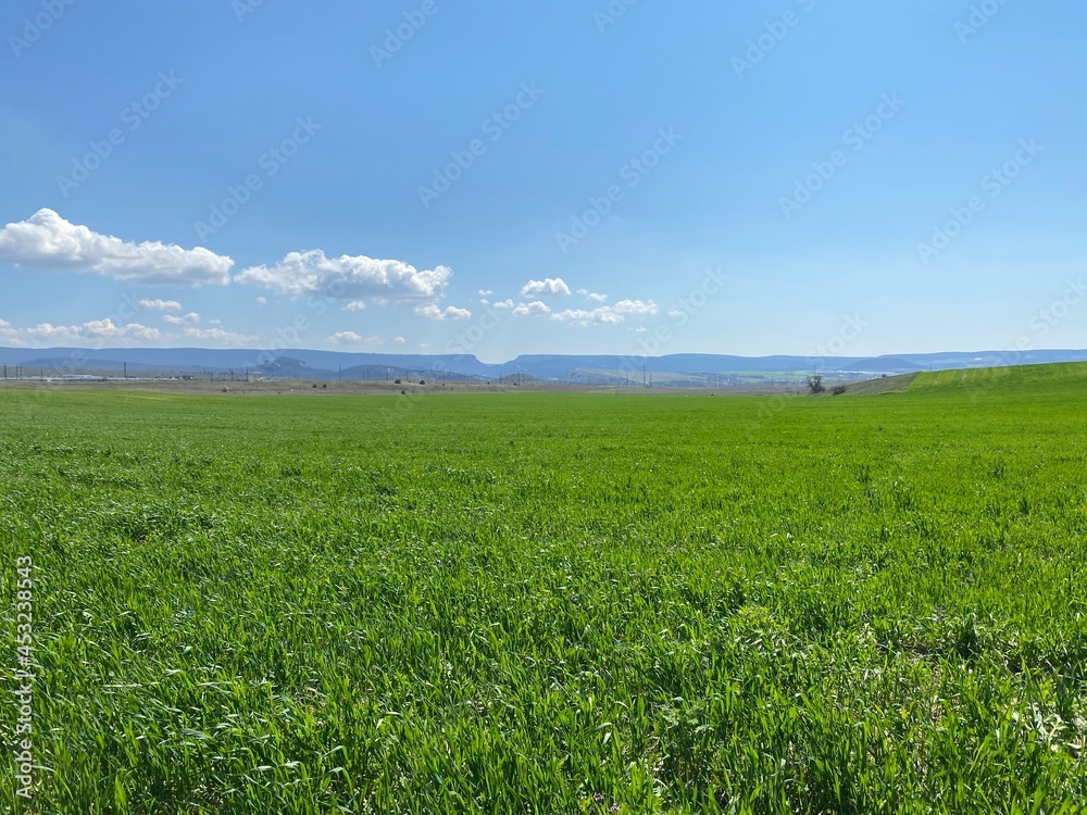 green field and blue sky green field and blue sky
