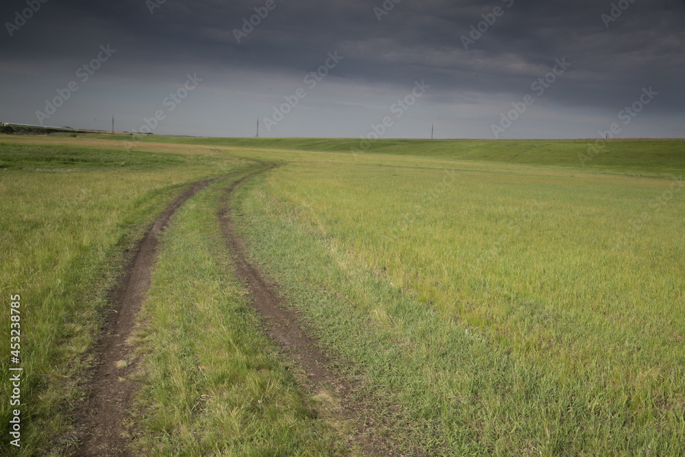 Obraz premium landscape with a road