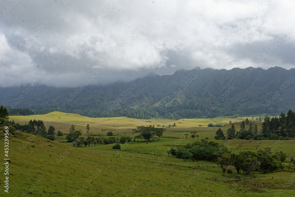 plateau de Toovi - nuku hiva - iles marquises