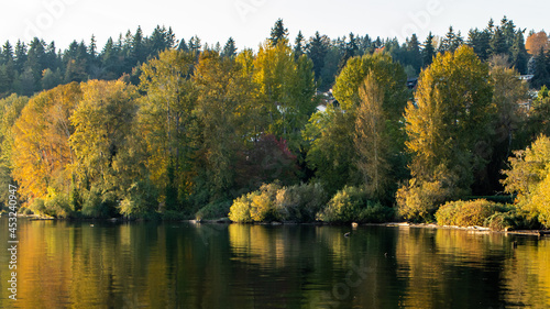 Logboom Park in Kenmore, WA. View of waterfront from dock. 