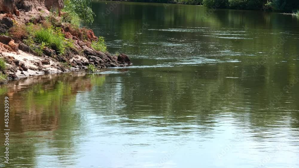 River water flow along the shore in sunlight. Teterev river. Water stream. Fishing place. Coastline. Summer sunny day. Natural landscape. Travel business. Country Ukraine.