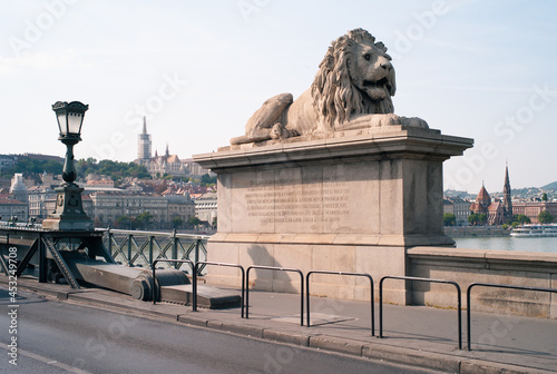 Sitting Lion Statue at the Chain Bridge or széchenyi lánchíd across the River Danube in Budapest, Hungary