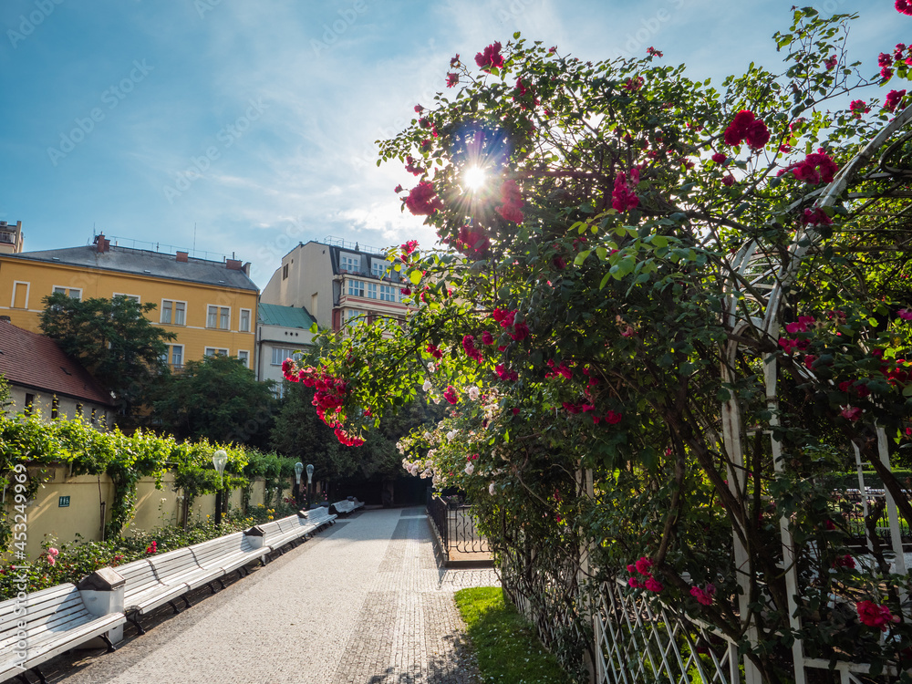 Fototapeta premium Franciscan Garden or Frantiskanska Zahrada in Prague, Czech Republic with a Yellow Pavilion and Flower Beds