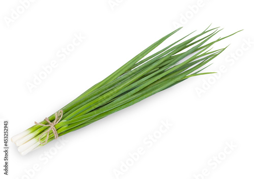 bunch of fresh green onions isolated on wtine background.
