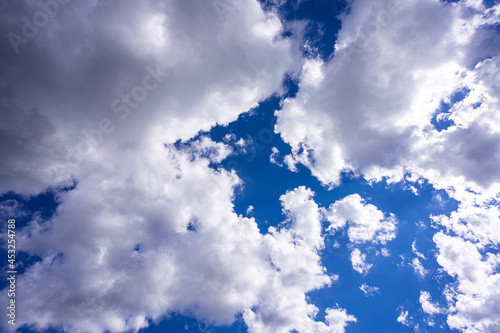 夏空2021