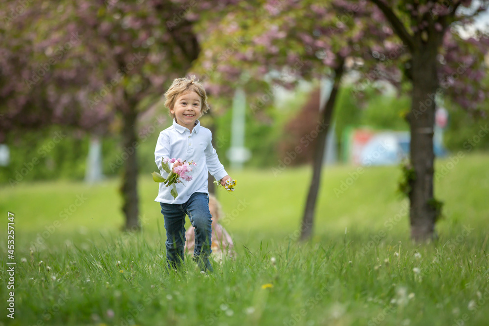 Beautiful children, toddler boy and girl, playing together in cherry blossom garden, running together and smiling with joy. Kids friendship