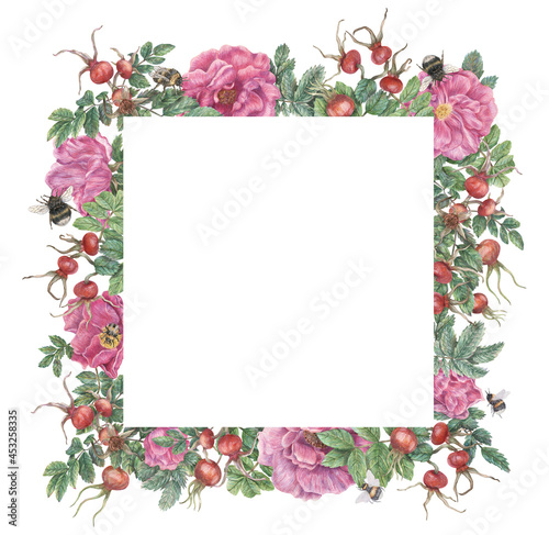 Square frame with flowers and rose hips, leaves and bumblebees. Hand-drawn graphic botanical border. Plant illustrations for design, cards, invitations.