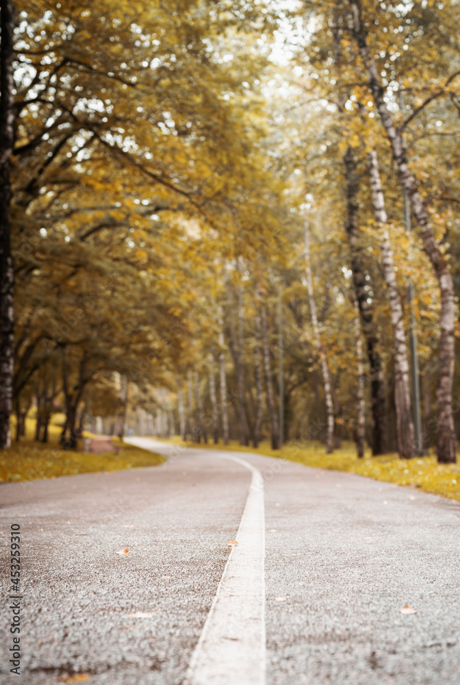 Naklejka premium road in autumn forest, blurred background