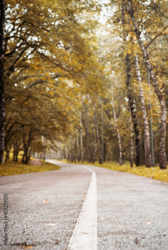 road in autumn forest, blurred background