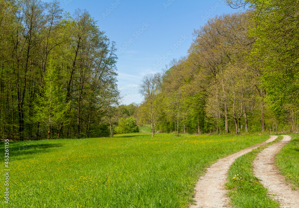 Idyllic spring time scenery Idyllic spring time scenery