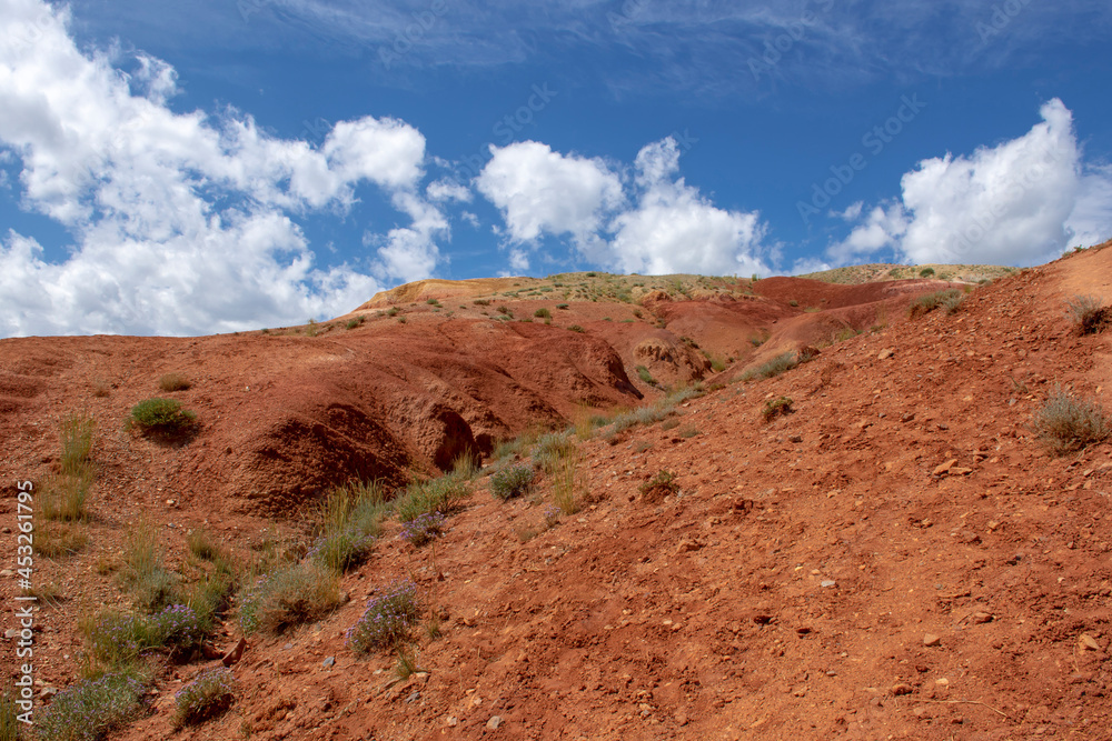 red rocks from the sandstone of the place Mars in the Altai mountains