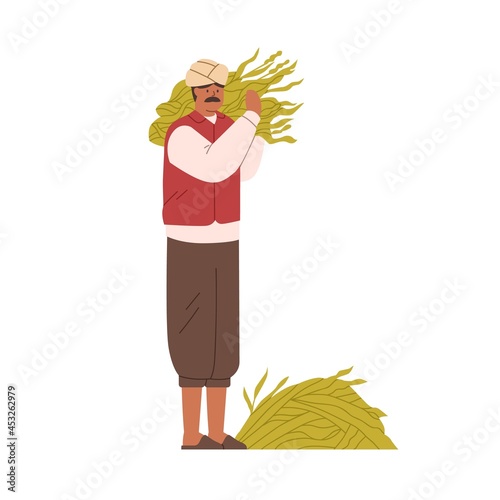 Indian farmer holding collected crops. Traditional farm worker with sugar cane harvest in hands. Hindu man and heap of sugarcane leaves in India. Flat vector illustration isolated on white background