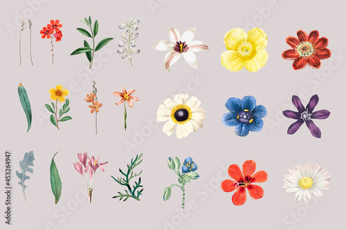 Floral design elements vector set