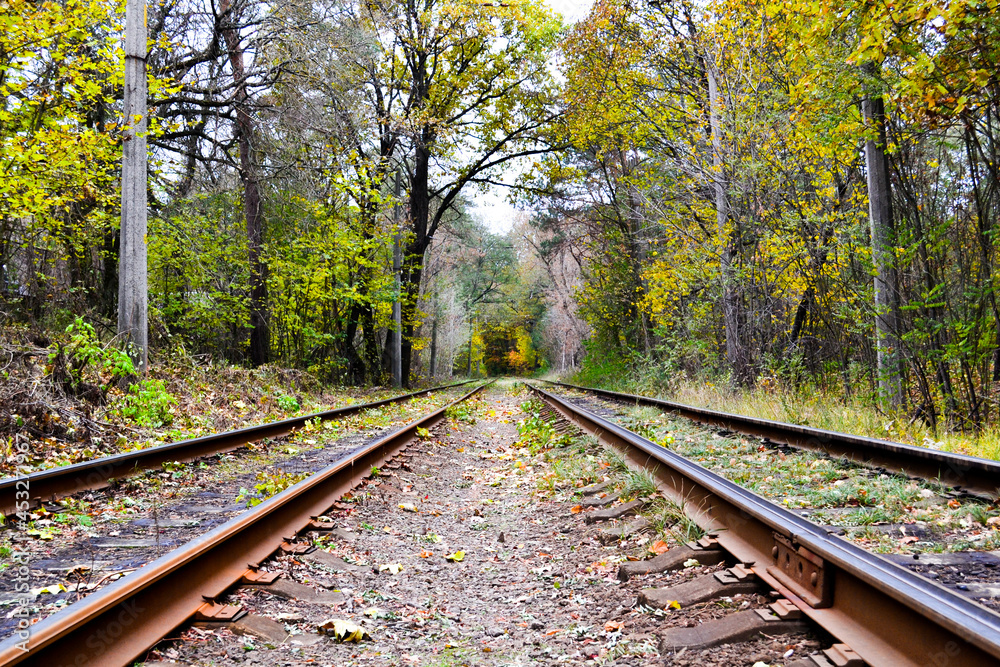 railway in the forest. beautiful landscape in the forest. railway in the forest. beautiful landscape in the forest.