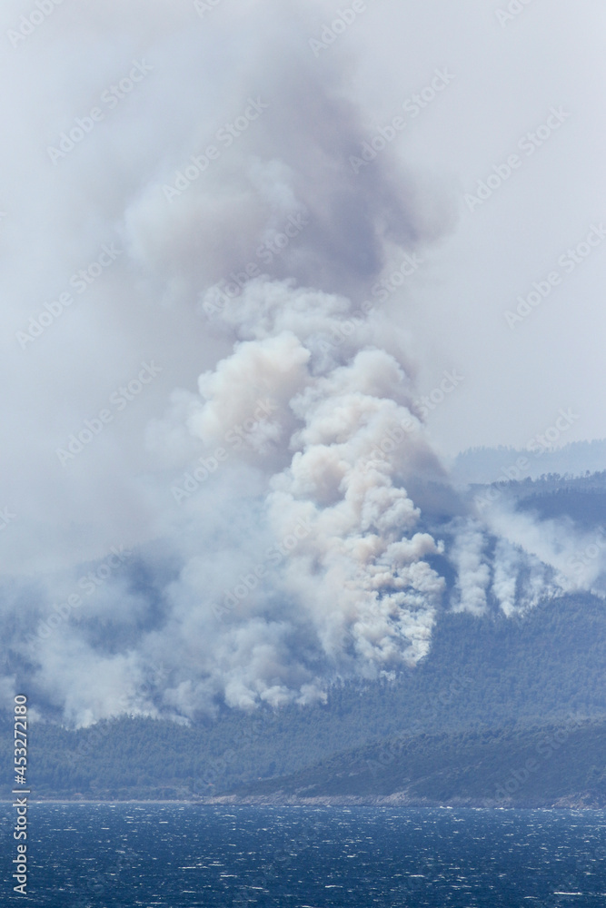 Natural disaster forest fire in mediterranean, climate change
