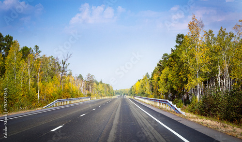 Autumn road, trees, autumn, long road