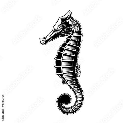 design vector Seahorses black and white