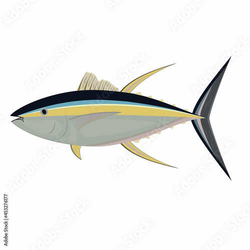 Tuna fish isolated on a white background, color vector illustration