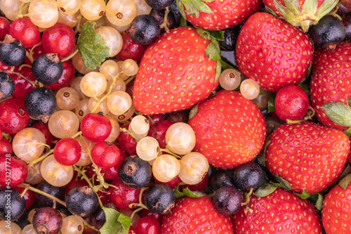 Fototapeta Naklejka Na Ścianę i Meble -   Ripe berries of white, red, black currant and red strawberry close-up 
