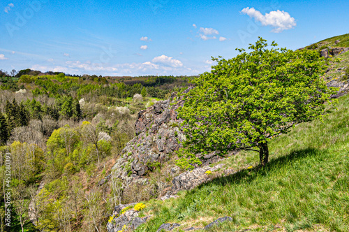 landscape with sky