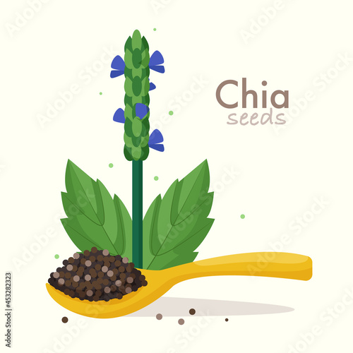Chia seeds with plant. Flat style vector illustration
