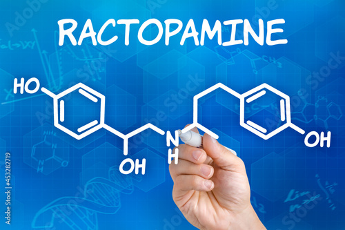 Hand with pen drawing the chemical formula of Ractopamine photo