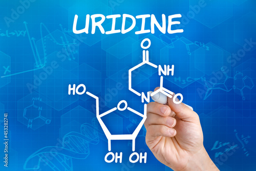Hand with pen drawing the chemical formula of Uridine photo