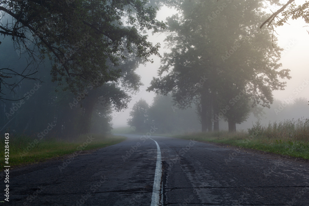 A lonely foggy road cutting through a thick and quiet wood. A lonely foggy road cutting through a thick and quiet wood.