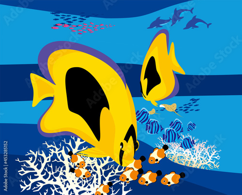 珊瑚の海と海水魚たち