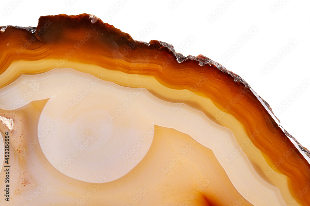 Macro mineral stone Yellow, brown Agate breed a white background close up Macro mineral stone Yellow, brown Agate breed a white background close up