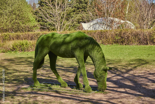 A horse figurine made from lawn grass in a public park. Landscape design. Topiary figures.