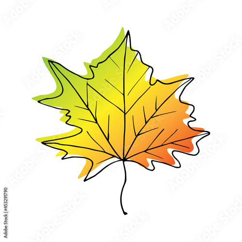 Autumn leaf of maple. Leaf of all shades of autumn - red, yellow, green, gold.