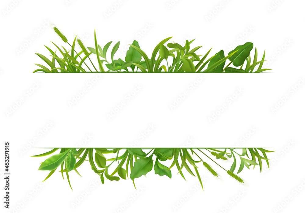 Obraz premium Grass Leaves Realistic Border