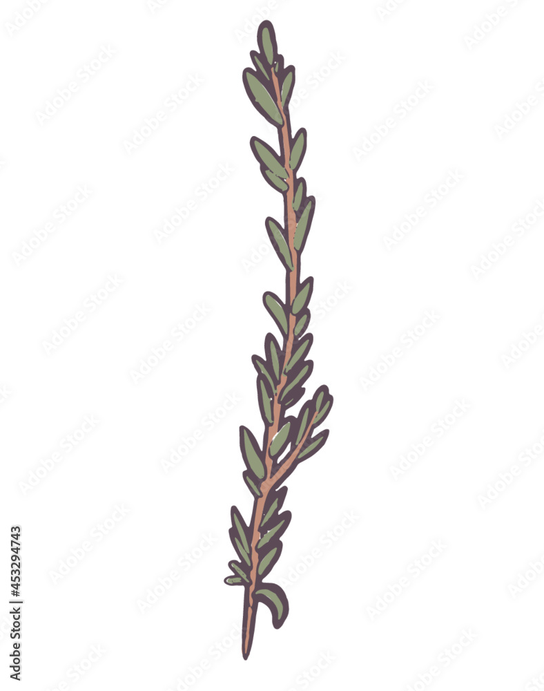 Fototapeta premium Art Nouveau Botanicals