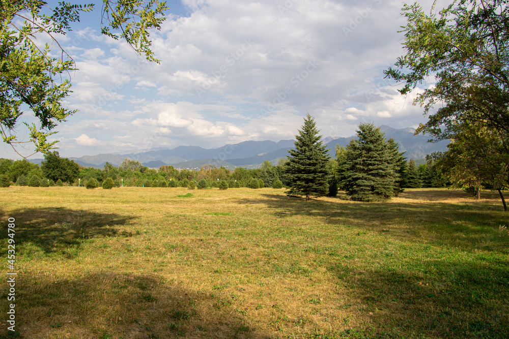 Landscape of mountains and fields with trees and beautiful clouds Landscape of mountains and fields with trees and beautiful clouds