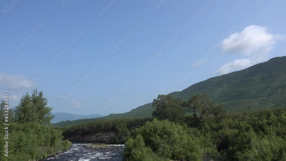 The mountain river is bubbling and foaming on the rocks. There is a lush green vegetation on the shore. A mountain slope against a blue sky background. a summer day. Copy space. Kamchatka. The mountain river is bubbling and foaming on the rocks. There is a lush green vegetation on the shore. A mountain slope against a blue sky background. a summer day. Copy space. Kamchatka.