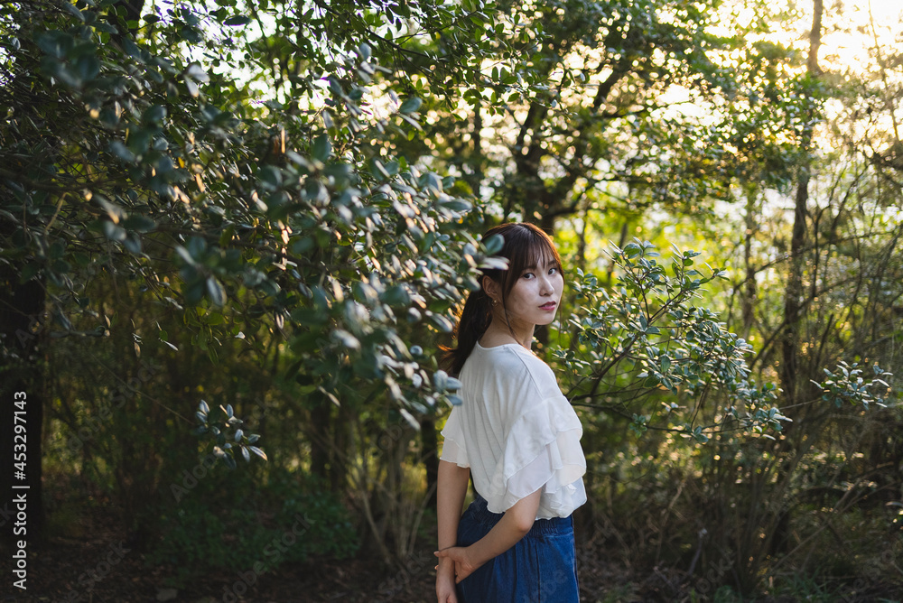 公園を散策する女性 公園を散策する女性