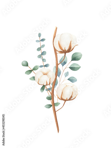 Fotografie, Obraz Watercolor cotton, eucalyptus botanical illustration isolated on white background