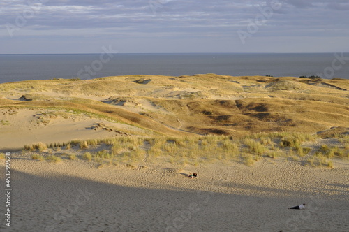 Parnidžio kopa . View from Parnidis sand dune on the valley of death .  Curonian spit , Nida , Lithuania .  photo