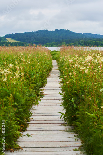 A wooden path around the beautiful pond Olsina. The Olsina pond near Horni Plana is one of the highest altitude ponds in Czech republic 