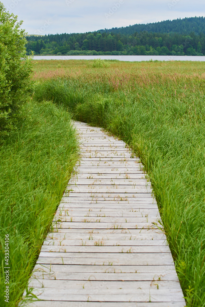 A wooden path around the beautiful pond Olsina. The Olsina pond near Horni Plana is one of the highest altitude ponds in Czech republic
A wooden path around the beautiful pond Olsina. The Olsina pond near Horni Plana is one of the highest altitude ponds in Czech republic