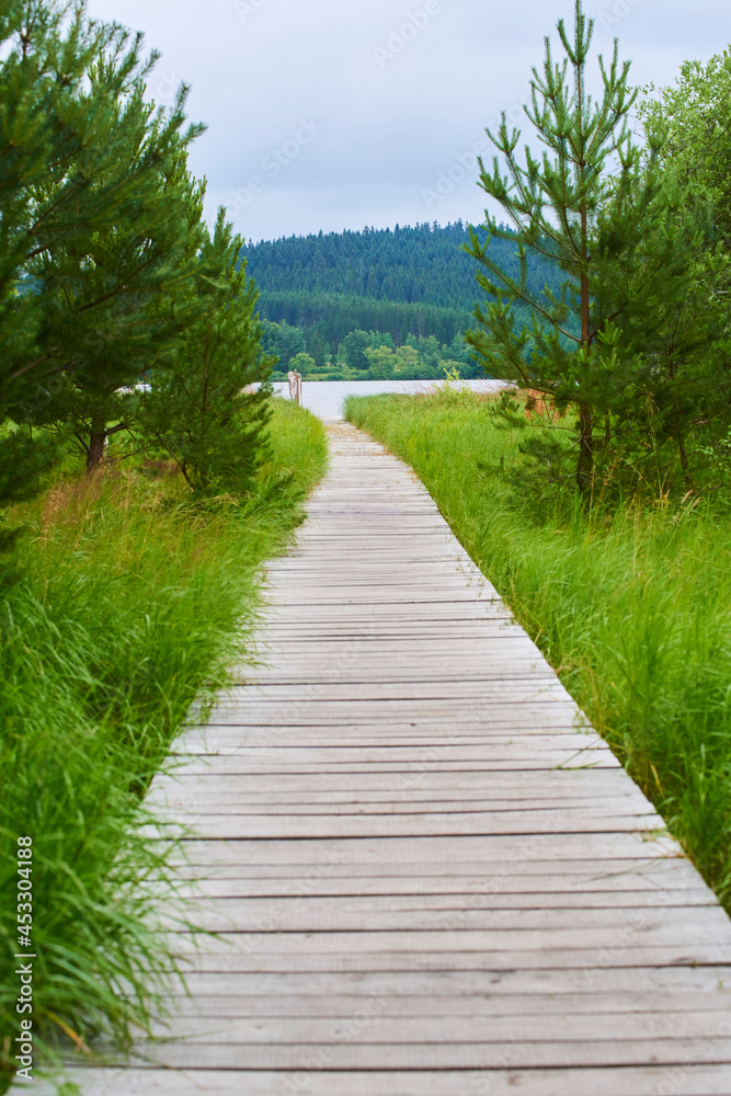 A wooden path around the beautiful pond Olsina. The Olsina pond near Horni Plana is one of the highest altitude ponds in Czech republic

