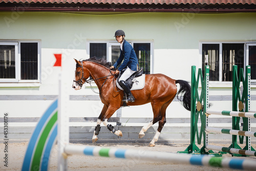 portrait of young gelding horse and adult man rider galloping during equestrian showjumping competition in daytime in summer