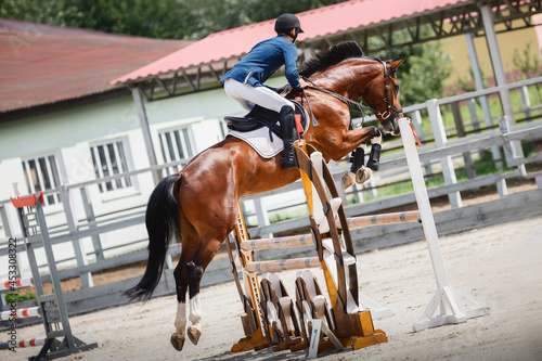 portrait of young gelding horse and adult man rider jumping during equestrian showjumping competition in daytime in summer