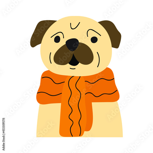 Pug wearing scarf. Hand drawn illustration on white background.