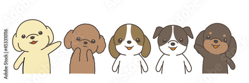 整列する犬達。カメラ目線。